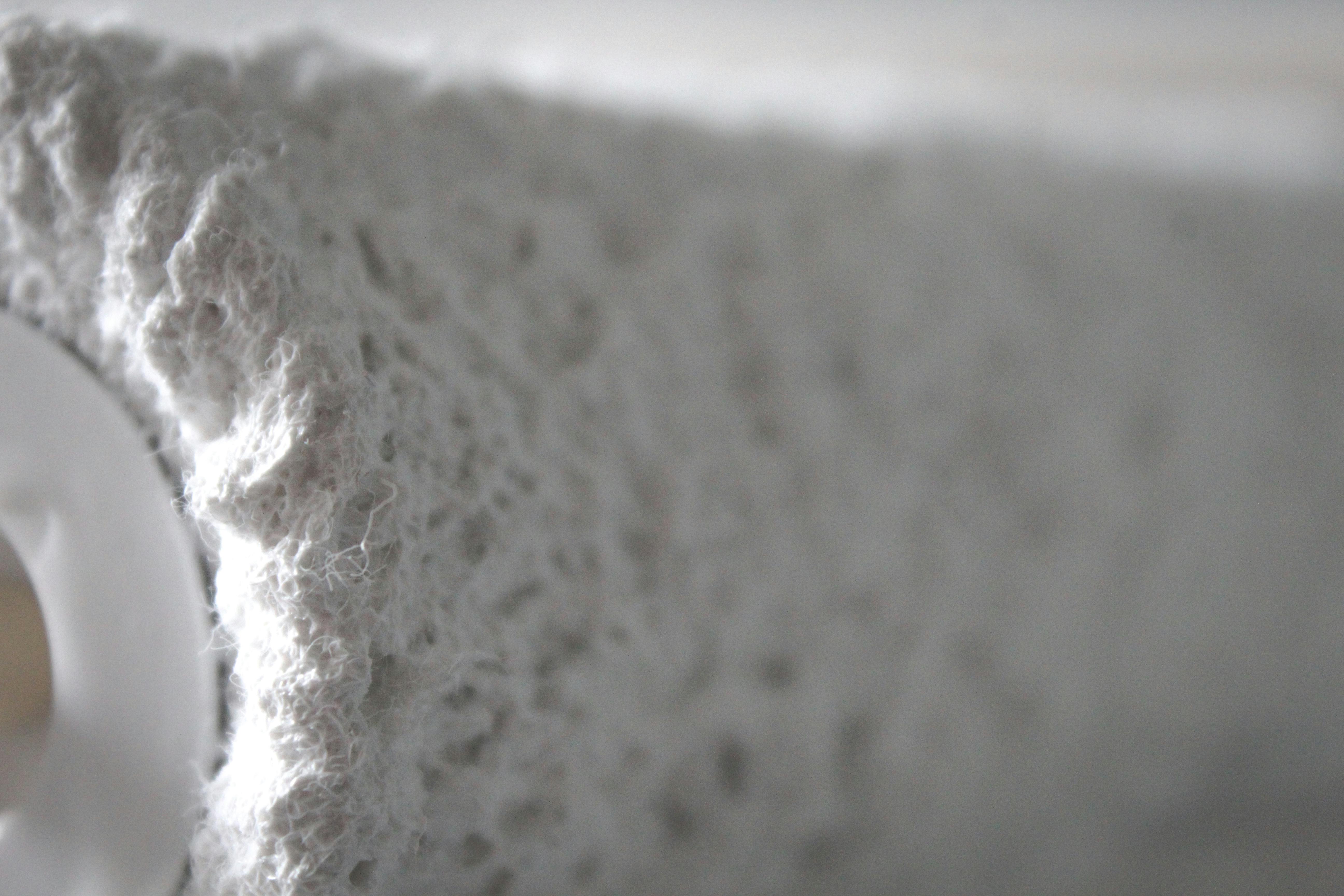 Exterior house painting