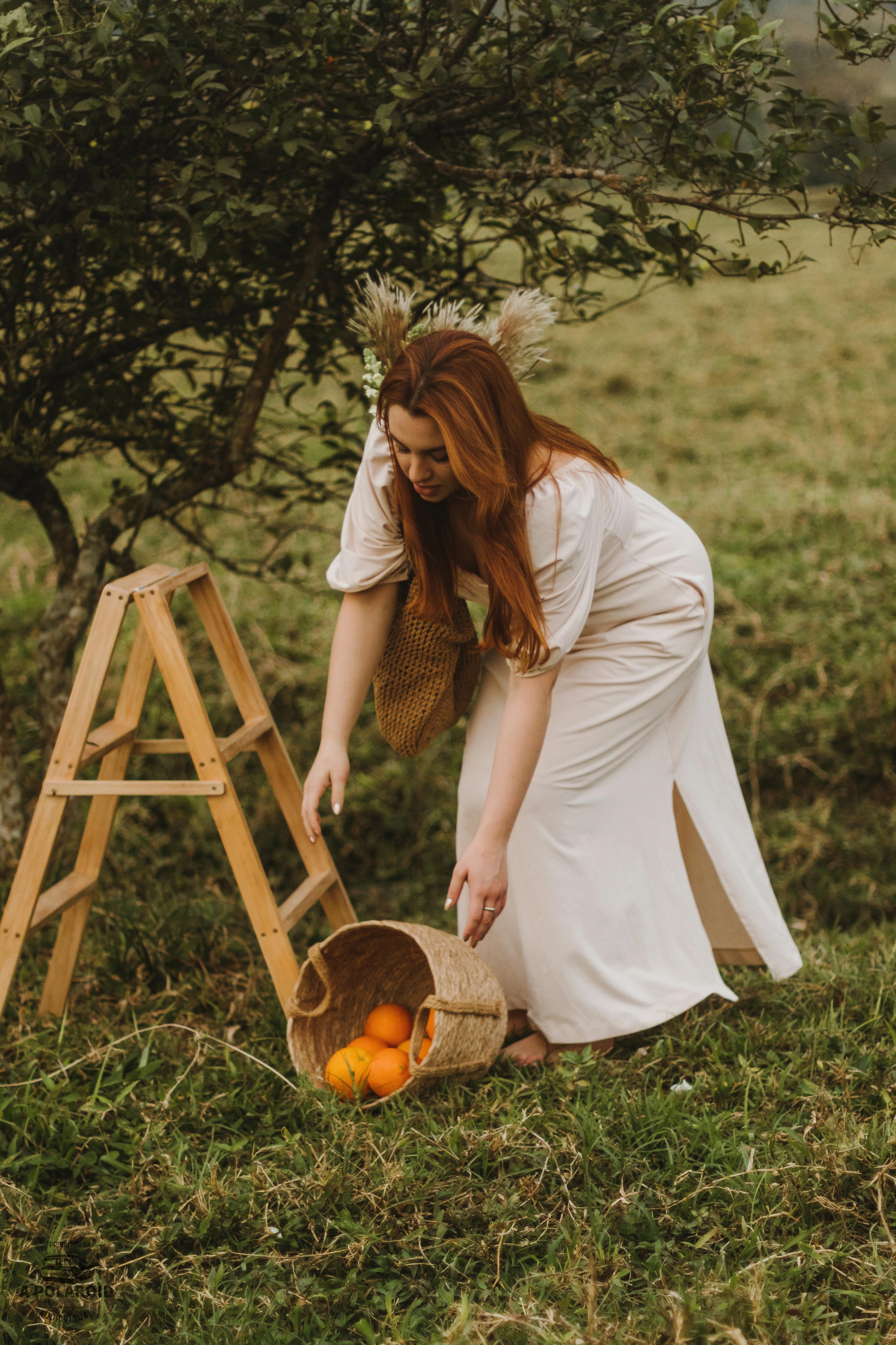 Woman in White Dress Bending over Basket with Fruit in Orchard · Free Stock  Photo