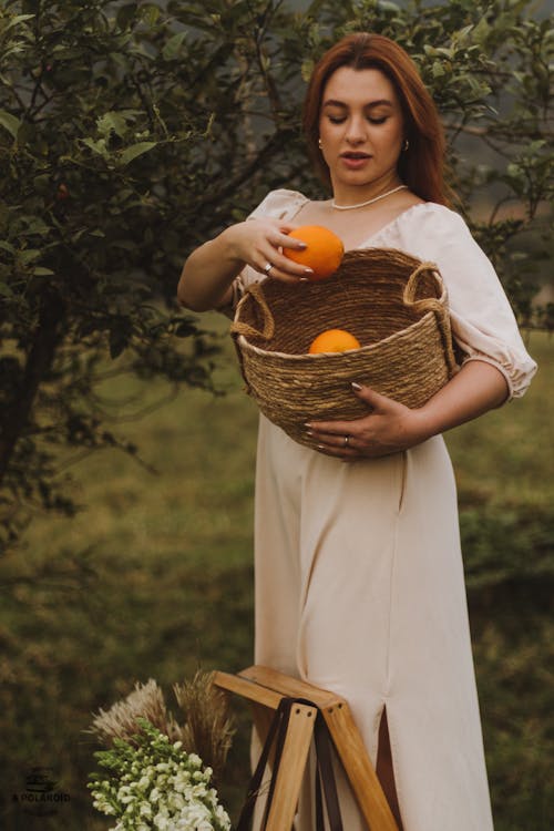 Fotobanka s bezplatnými fotkami na tému držanie, elegancia, kôš