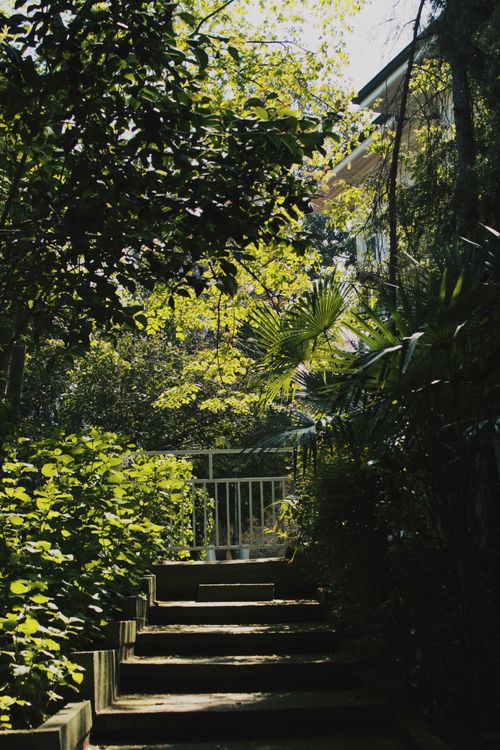 Free A serene garden path with wooden stairs surrounded by lush green foliage under sunlight. Stock Photo