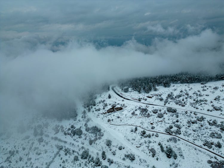 Fog Over Forest In Winter