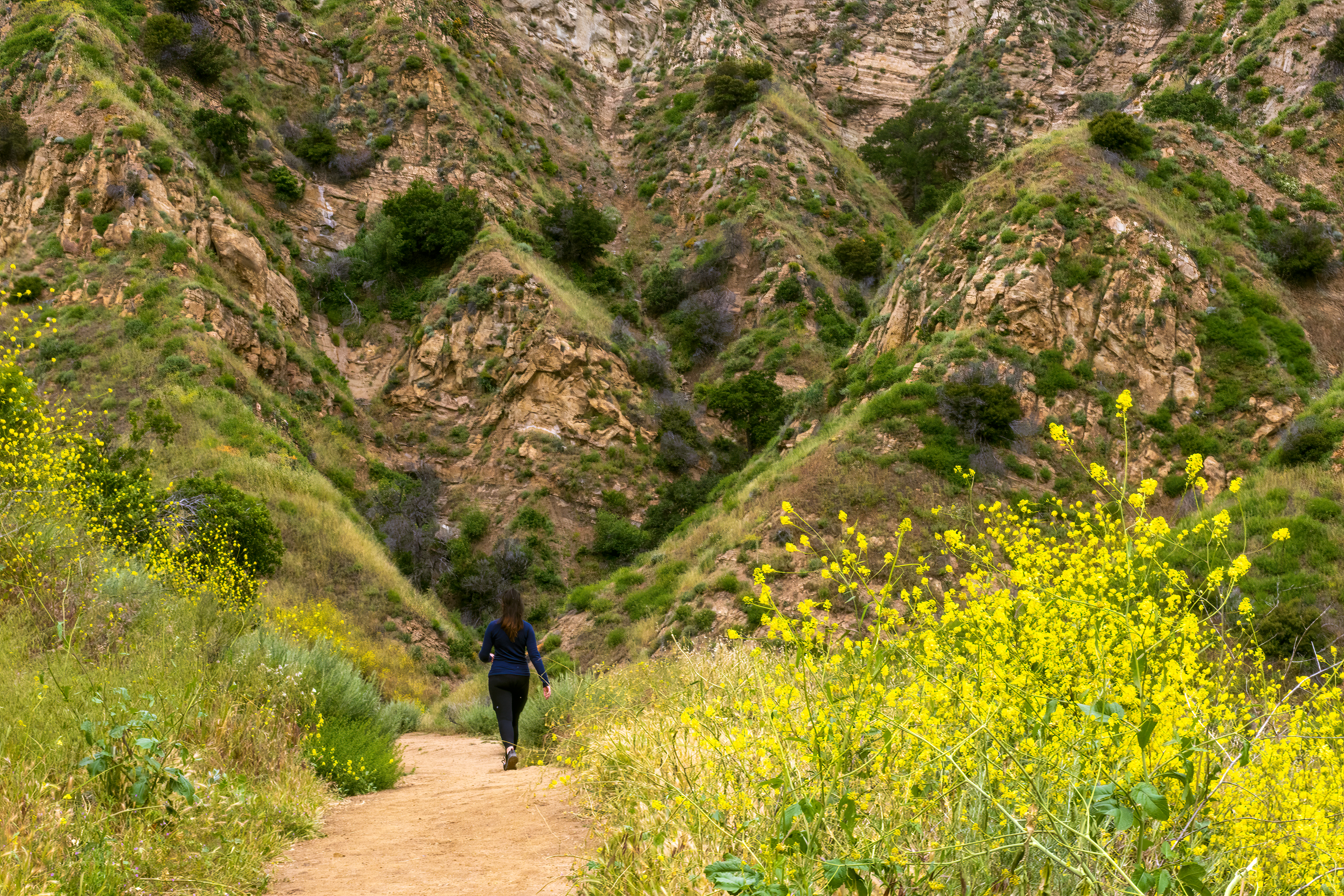 Les itinéraires insolites à explorer en pleine nature