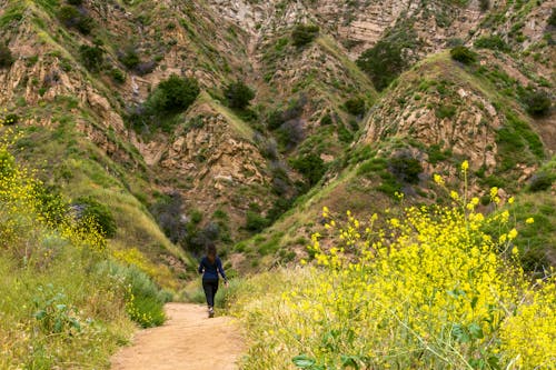 Hiker in Mountains