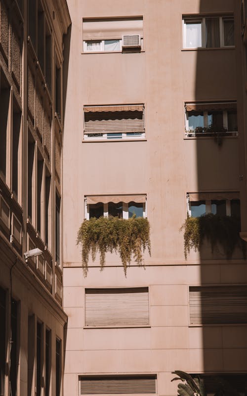 Foto d'estoc gratuïta de edifici, finestres, il·luminat pel sol