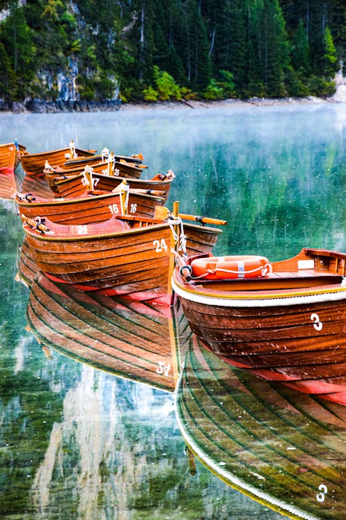 Foto profissional grátis de ancorado, barcos, de madeira