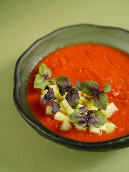Gazpacho Soup