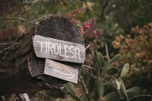 Wooden sign with 'tirolesa' inscription on tree trunk amidst forest foliage.