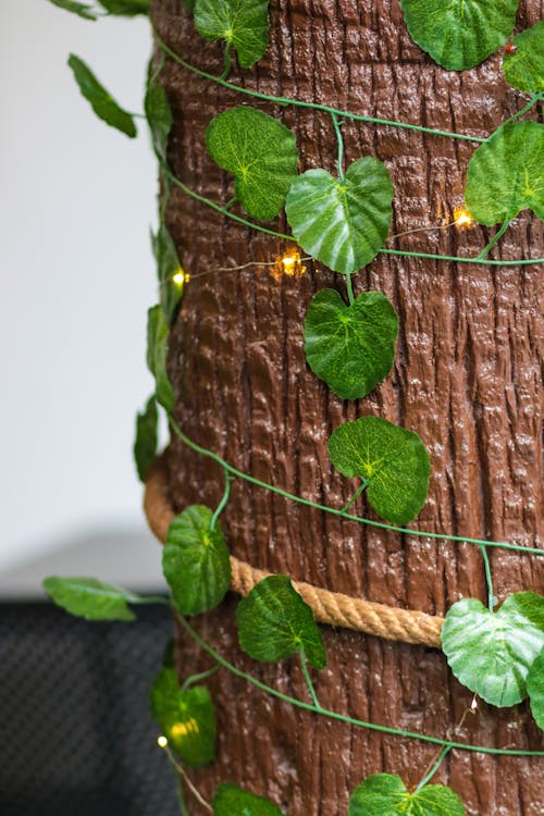 Leaves and Rope on Tree · Free Stock Photo