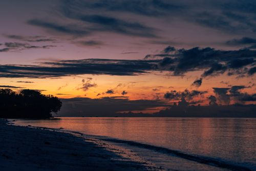 Free Beautiful sunset casting vibrant colors over a peaceful ocean shoreline with silhouetted trees. Stock Photo