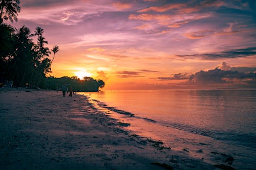 ビーチ, 岸, 日没の無料の写真素材