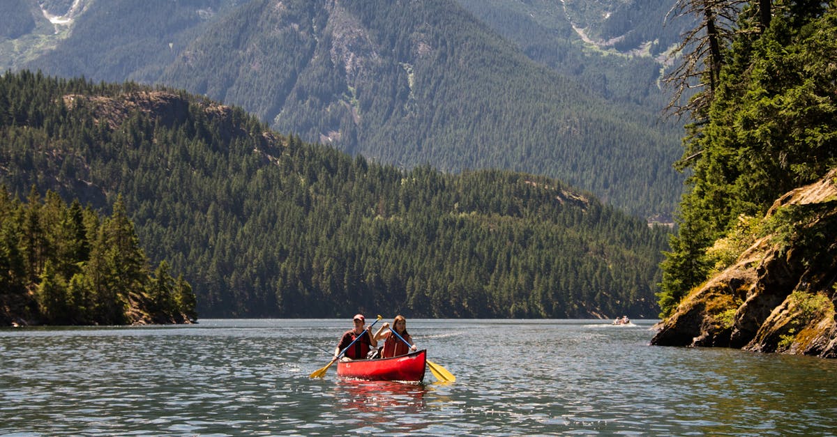 Free stock photo of adventure, boat, canoe