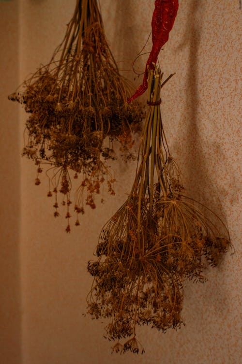 Hanging Dried Flowers