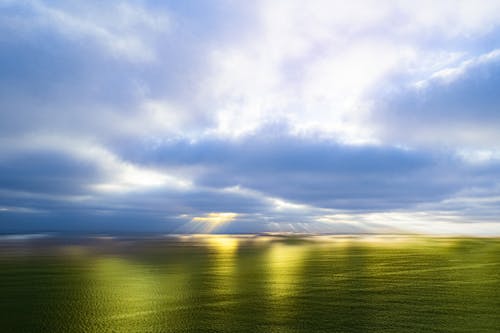 Бесплатное стоковое фото с глубины океана, зеленый, море