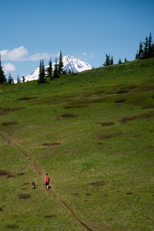 бесплатная Аэрофотосъемка человека, идущего по лужайке Стоковое фото