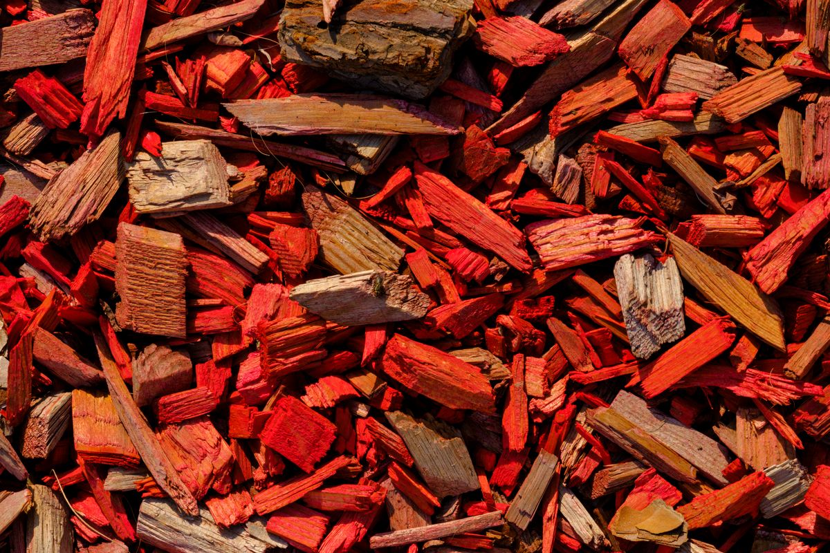 Paillage : quel matériau choisir ? - Tableau comparatif : quel paillage choisir selon vos besoins ?