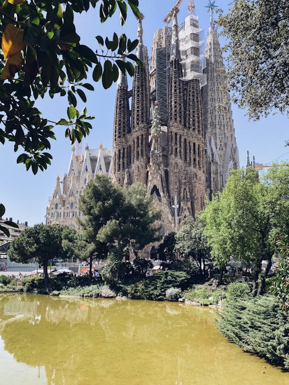 Pond with Trees and La Sagrada Familia behind · Free Stock Photo