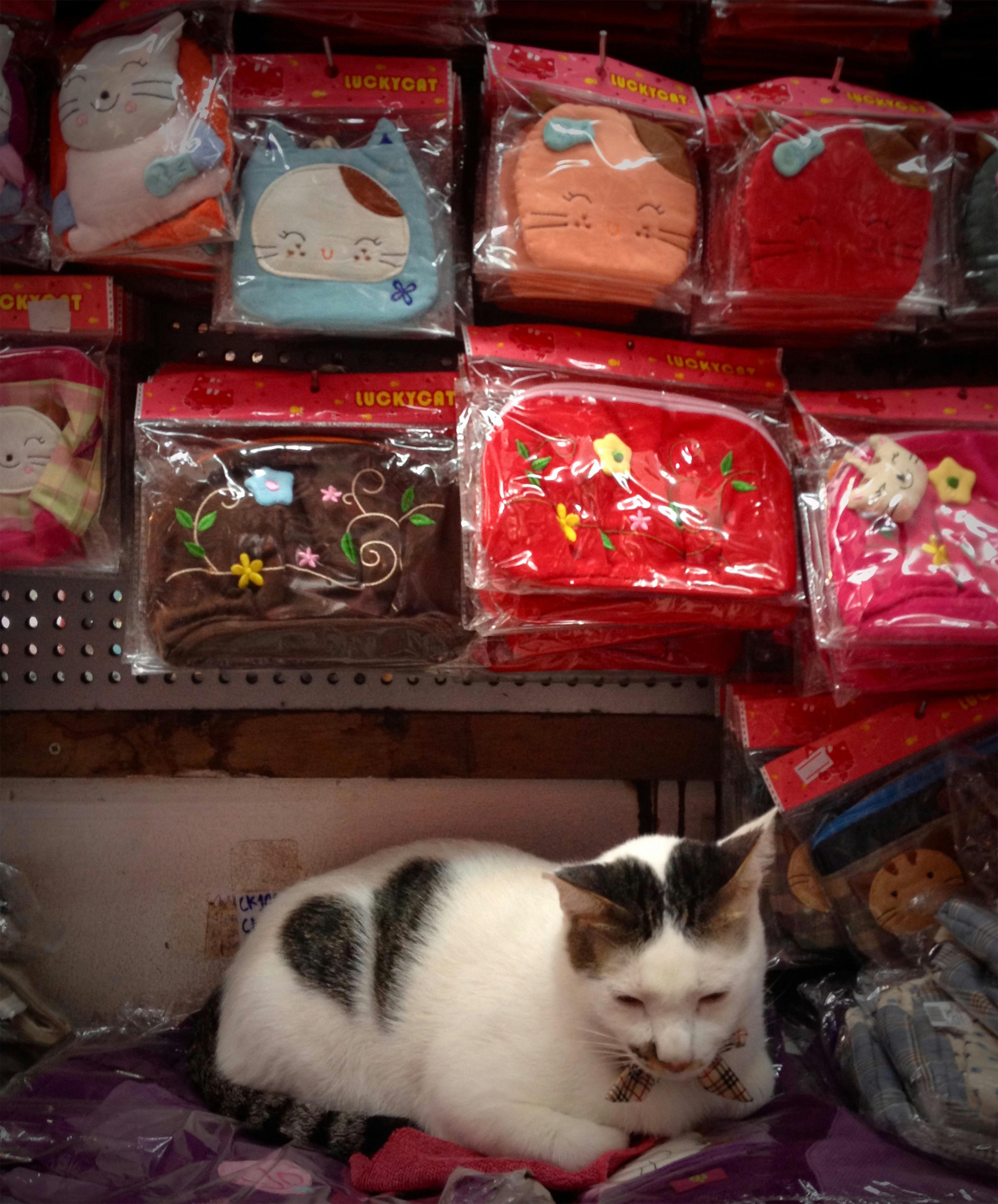 Cat among Merchandise