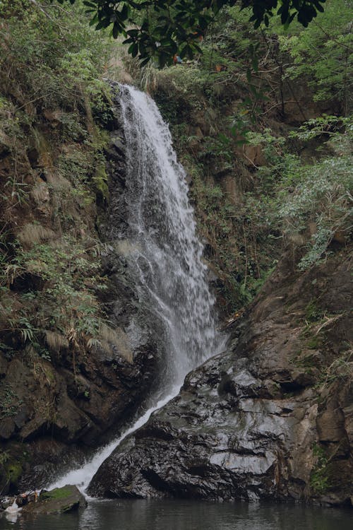 Foto profissional grátis de @exterior, água, ao ar livre