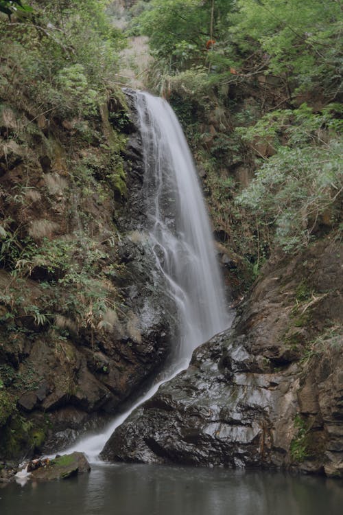 Foto profissional grátis de @exterior, água, ao ar livre