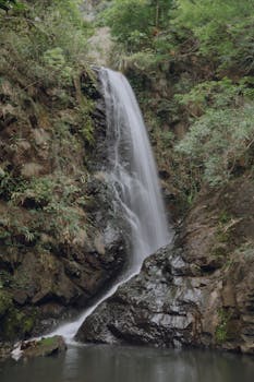 Peaceful waterfall cascading amidst lush green foliage, ideal for nature-themed backgrounds.