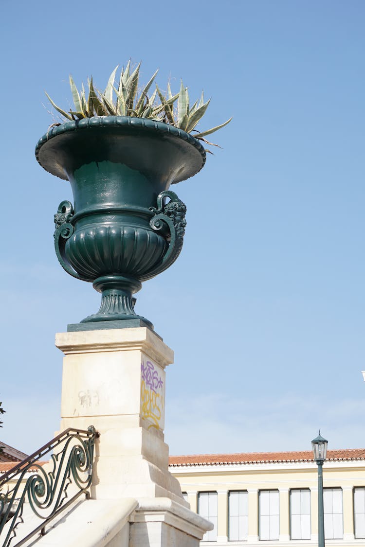 Plant In Vase On Column