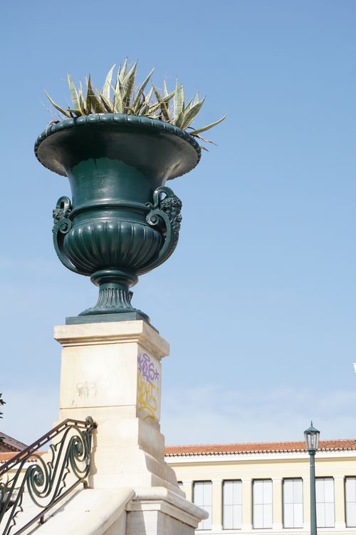 Free A decorative urn with plants on an Athenian street under a bright blue sky. Stock Photo