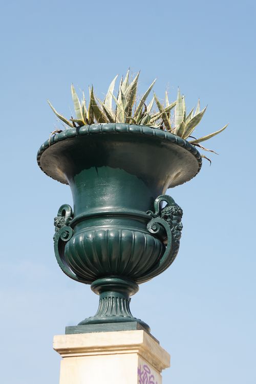 Free Close-up of an ornate vase with agave under a clear sky in Athens, Greece. Stock Photo