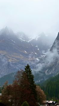 A stunning view of the misty Swiss Alps in Grindelwald, capturing fog and lush greenery.