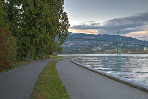 Free stock photo of bridge, ocean, park