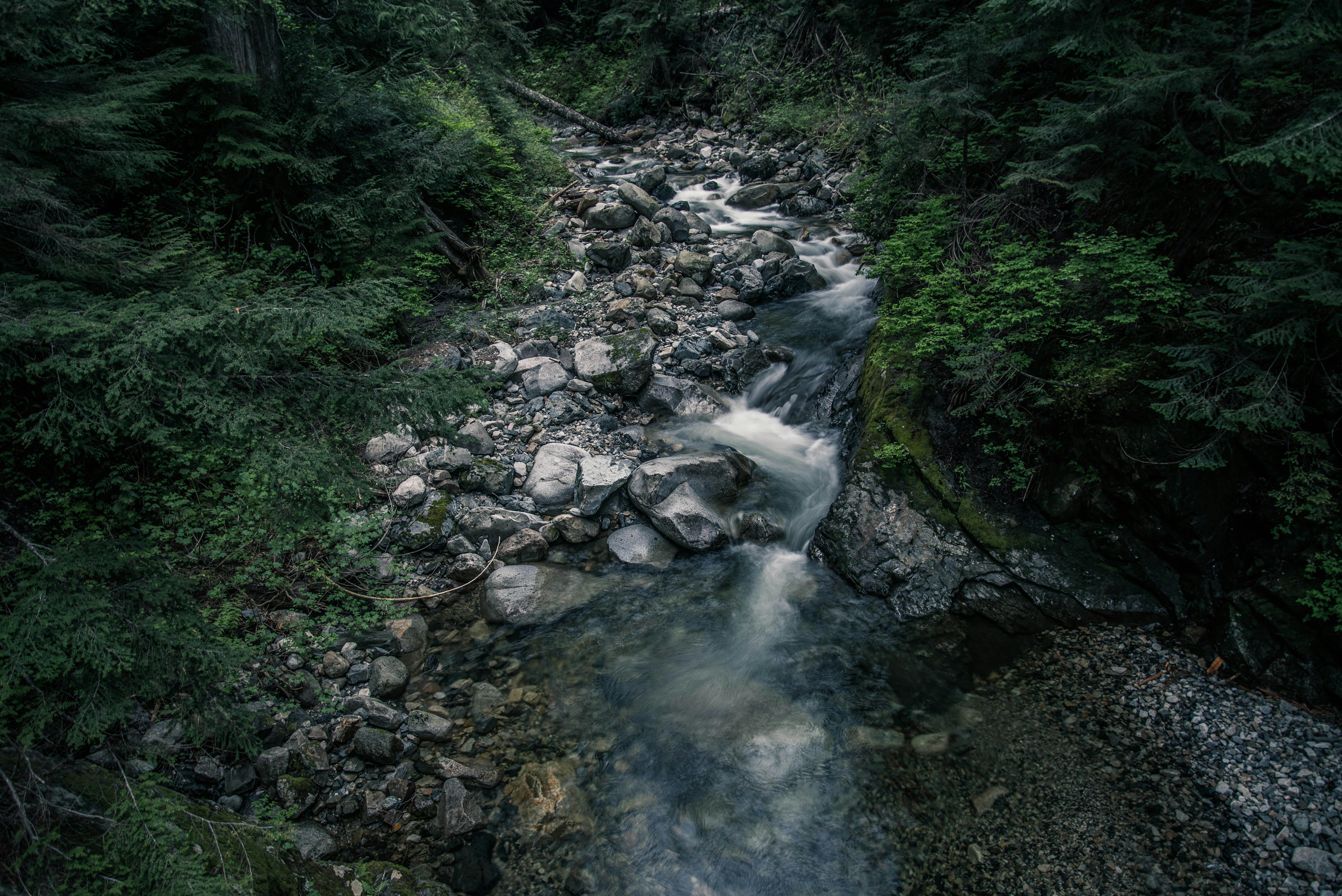 Kostenloses Foto zum Thema bach, felsen, fluss