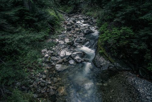 Free A tranquil forest stream flows over rocks, surrounded by lush greenery. Stock Photo