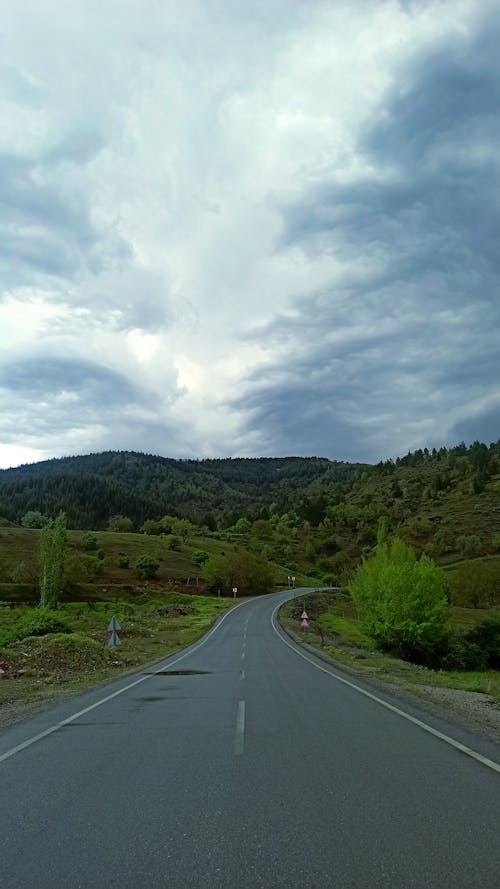 Photos gratuites de arbres, colline, couvert