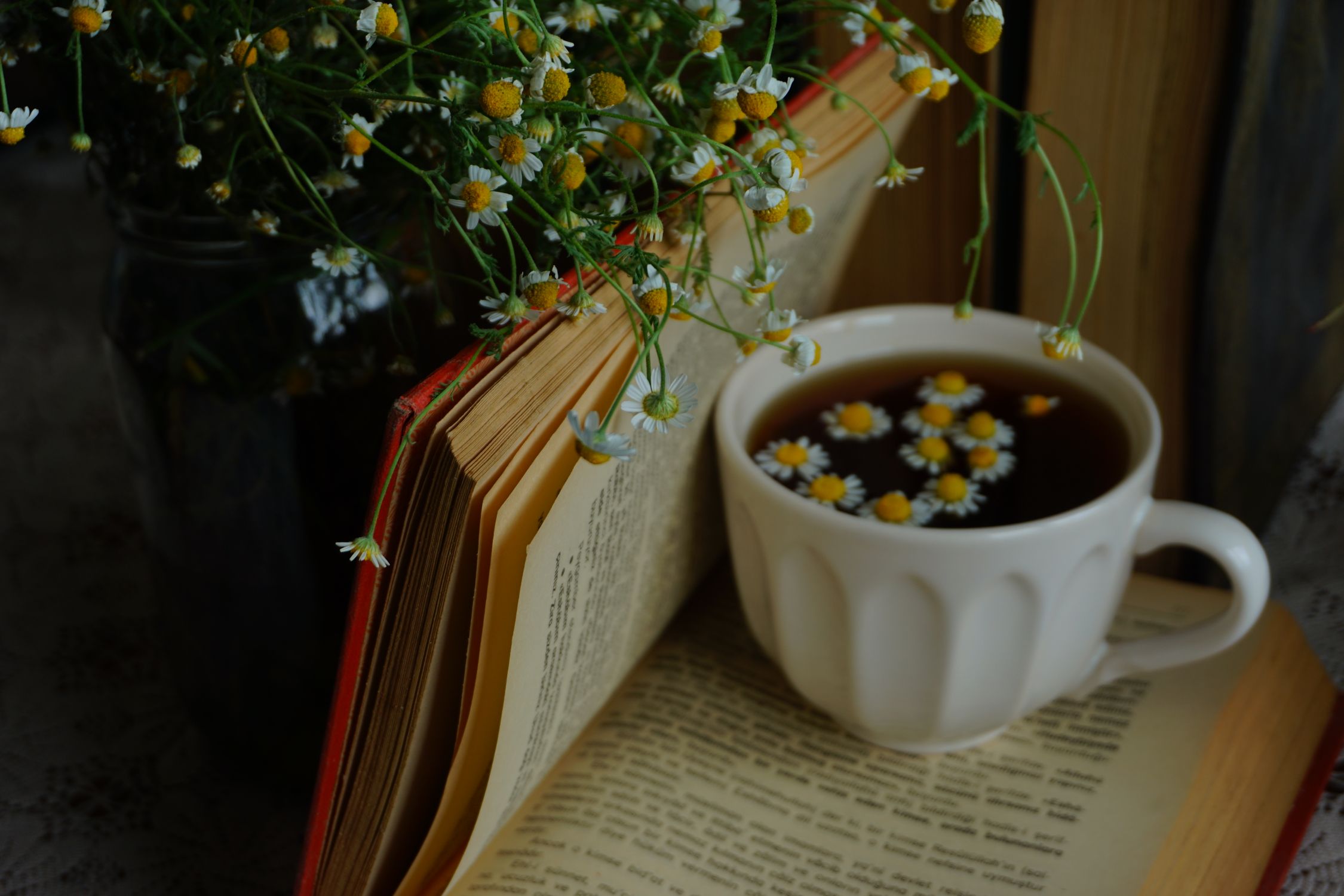 Cena calma com chá de camomila, flores e um livro, criando um ambiente de relaxamento noturno.
