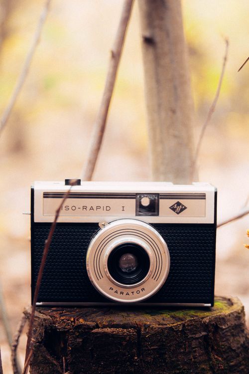 Free Retro analog camera displayed on a tree stump in a natural setting. Perfect for vintage enthusiasts. Stock Photo