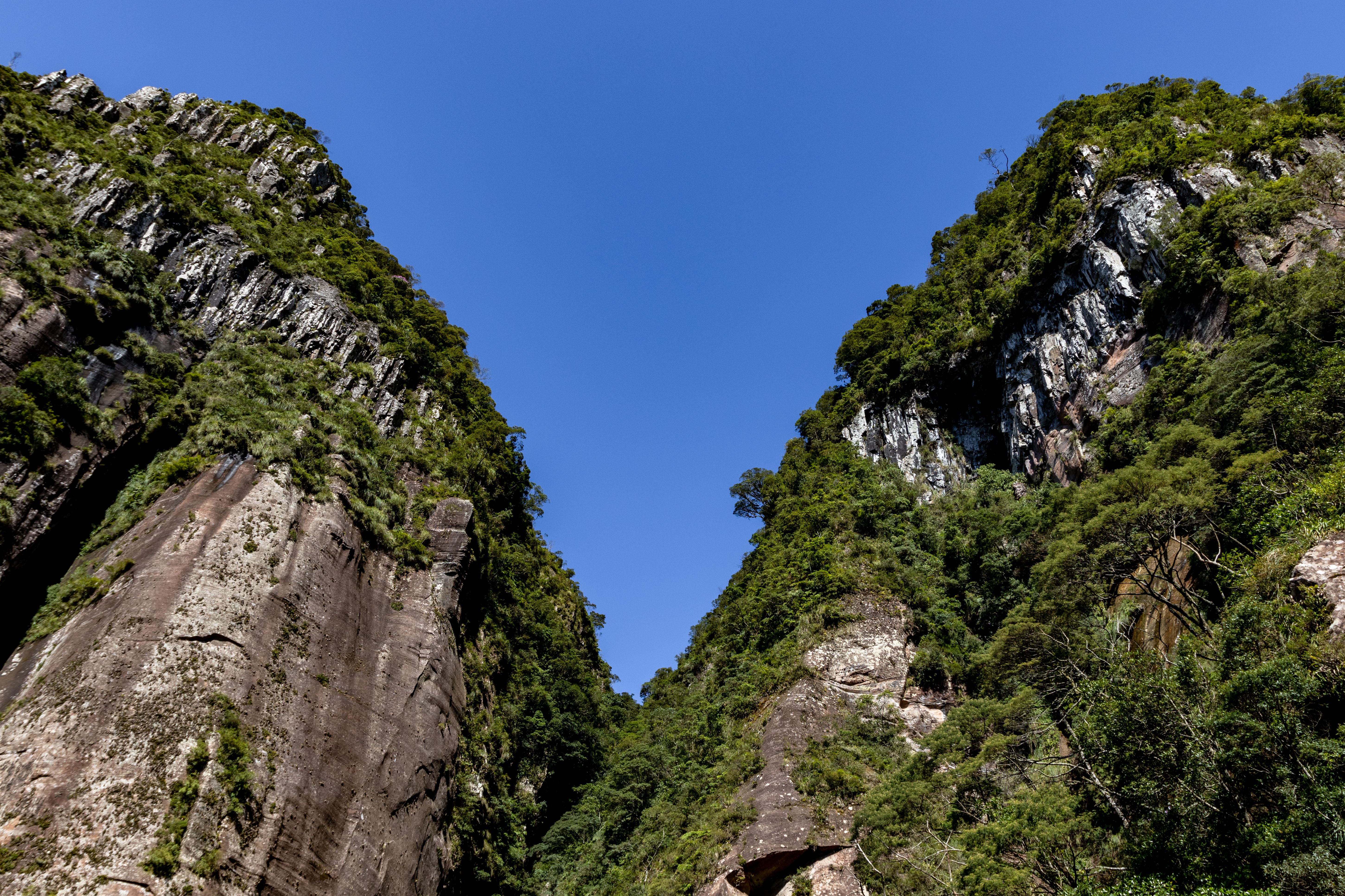 Vertical cliff edge of Canion Fortaleza with green plateau above