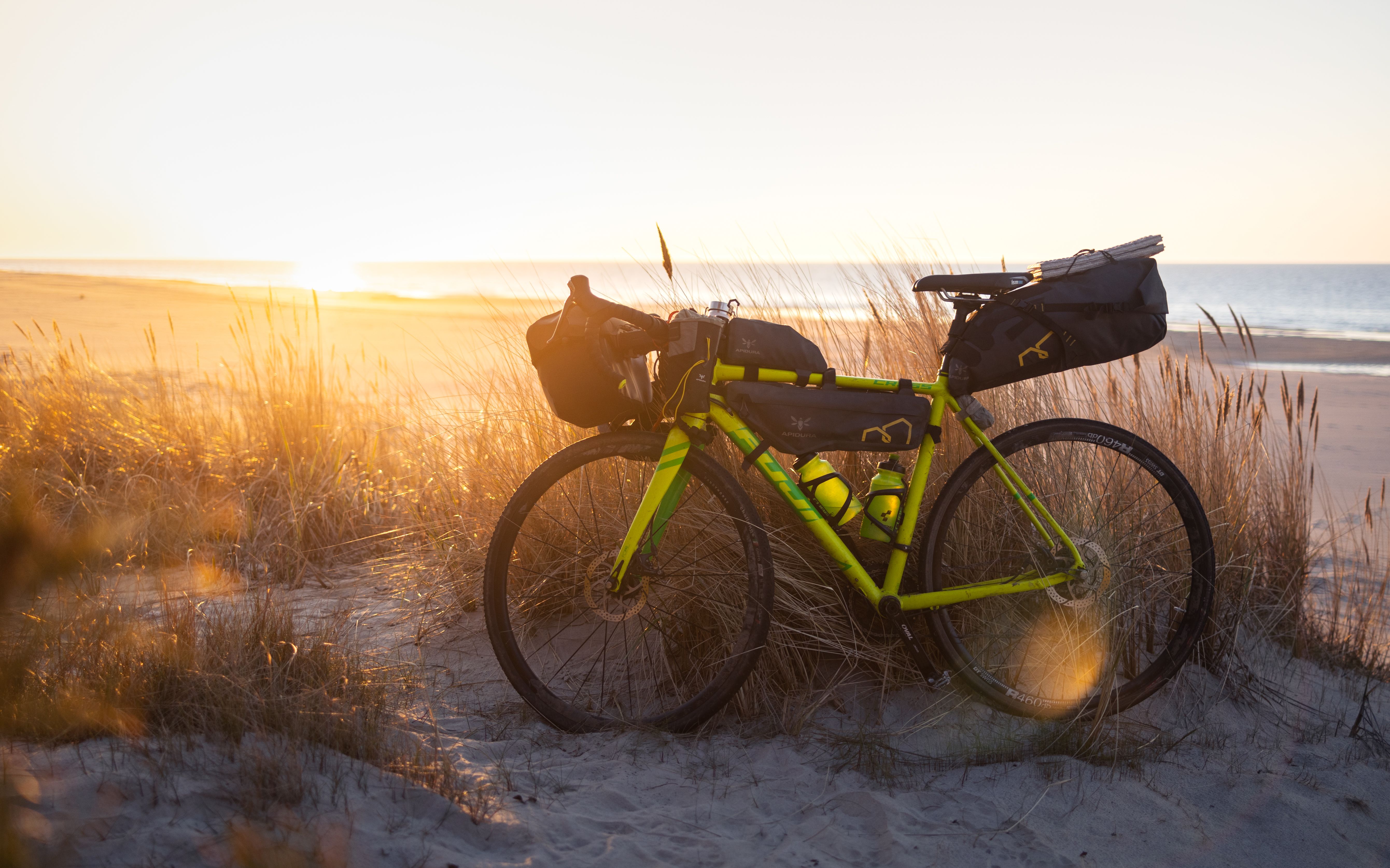 Kostnadsfria Kostnadsfri bild av apelsin, apidura, april Stock foto