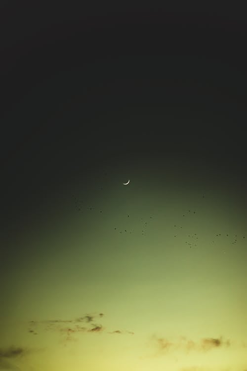 Crescent Moon on a Sunset Sky 