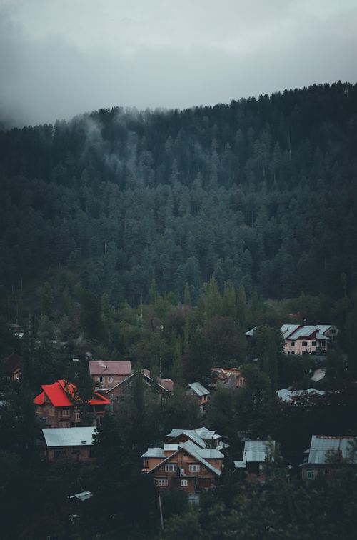 Free Serene mountain village nestled in a lush, mist-covered forest with vibrant rooftops under a cloudy sky. Stock Photo