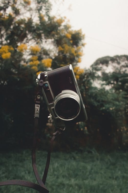 Gratis stockfoto met analoge camera, bomen, buiten