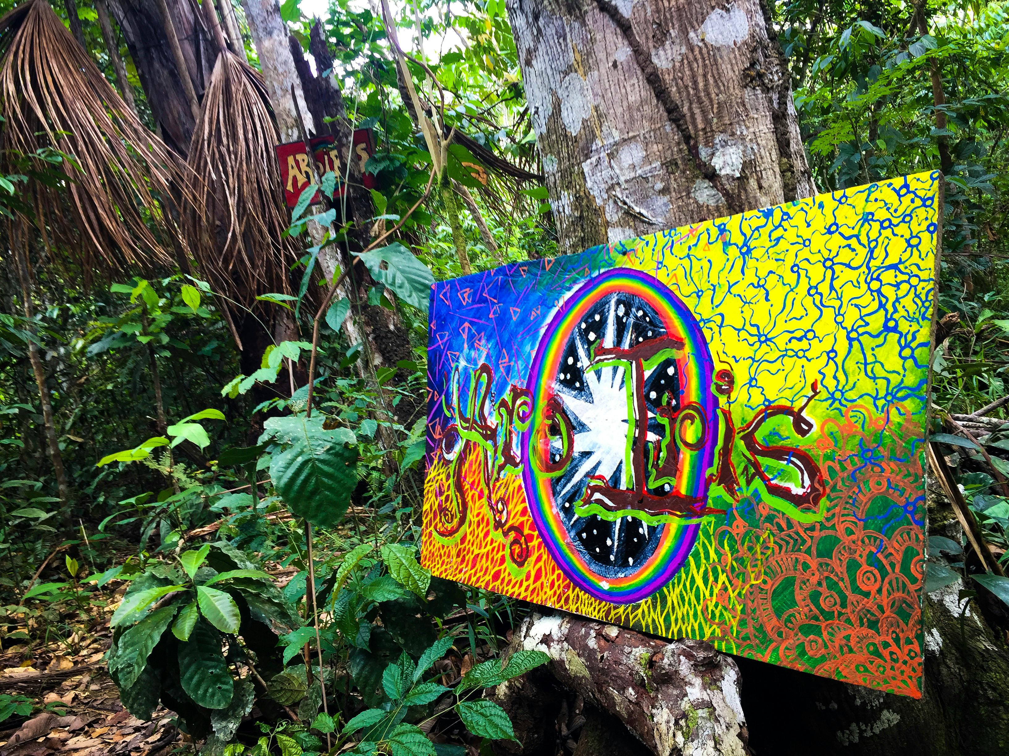 Arco Iris Hippieコミュニティ アマゾンジャングル アヤワスカの無料の写真素材 Arco Iris Hippieコミュニティ アマゾンジャングル アヤワスカの無料の写真素材