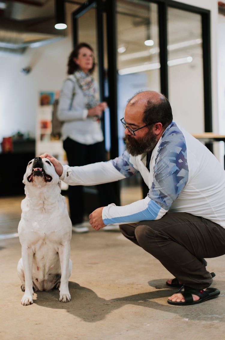 Man Petting A Dog 