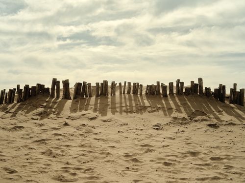 Free Wooden poles casting long shadows on sandy dunes under a cloudy sky in Pinamar, Argentina. Stock Photo