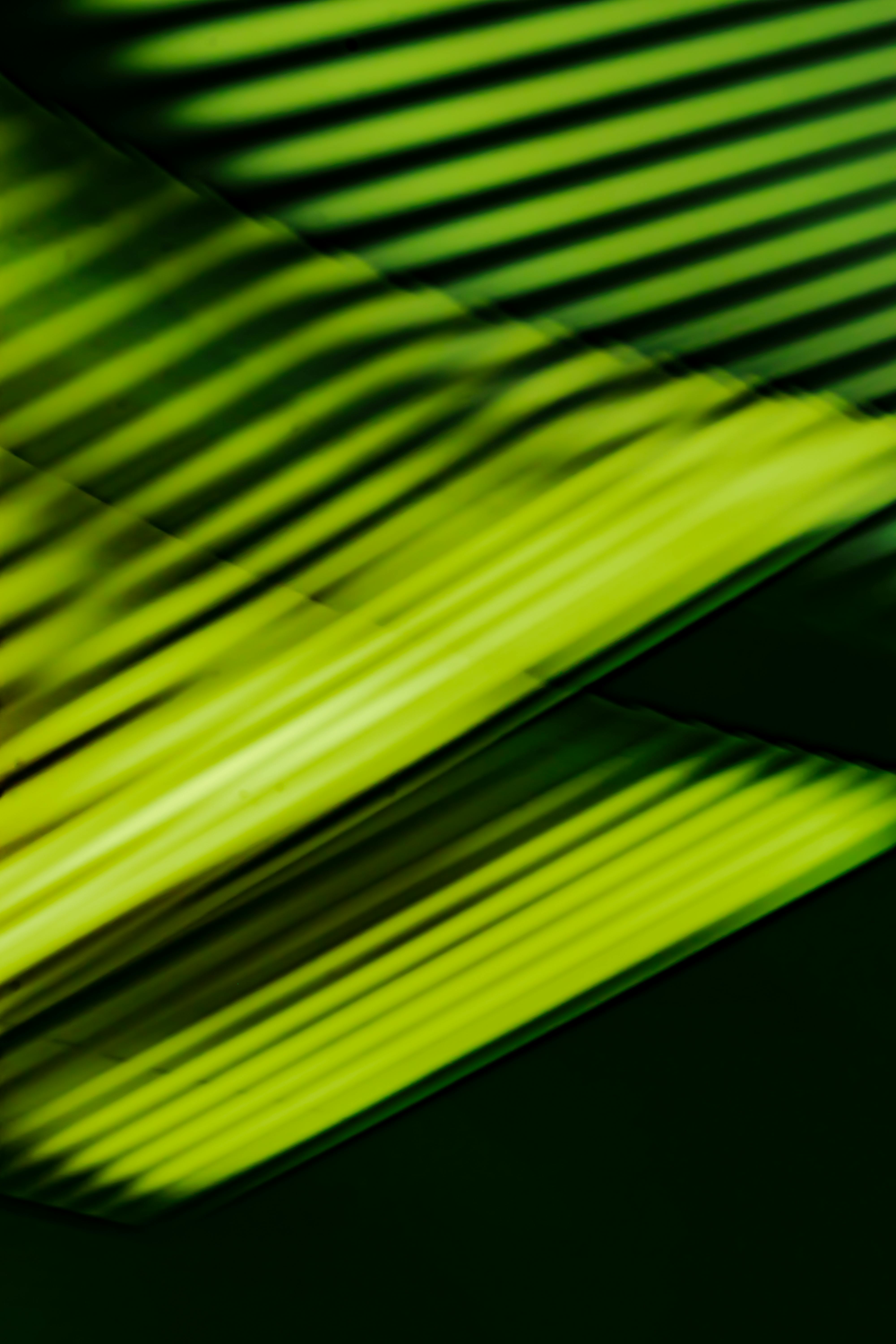 grátis Foto profissional grátis de abstrair, alegre, arte Foto profissional