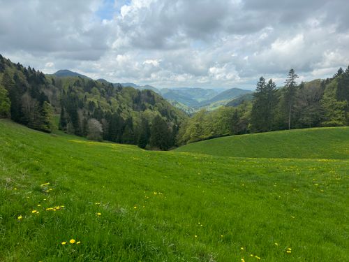 Free A vibrant green valley with rolling hills and scattered wildflowers under a cloudy sky. Stock Photo