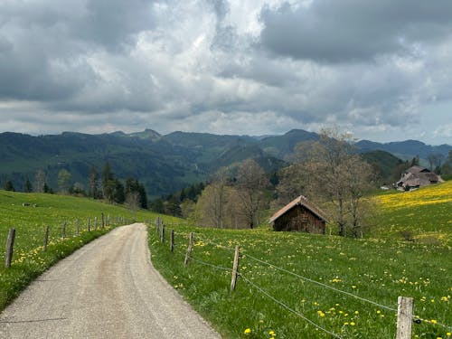 Scenic Rural Landscape with a View of the Mountains 