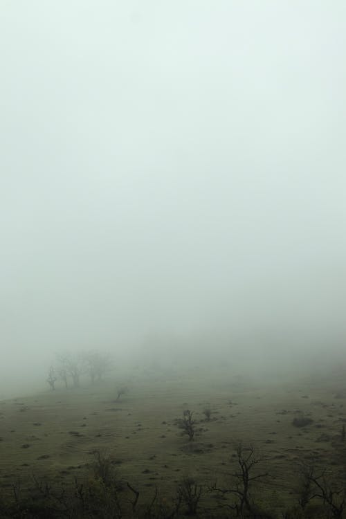 Dense Fog over a Field 