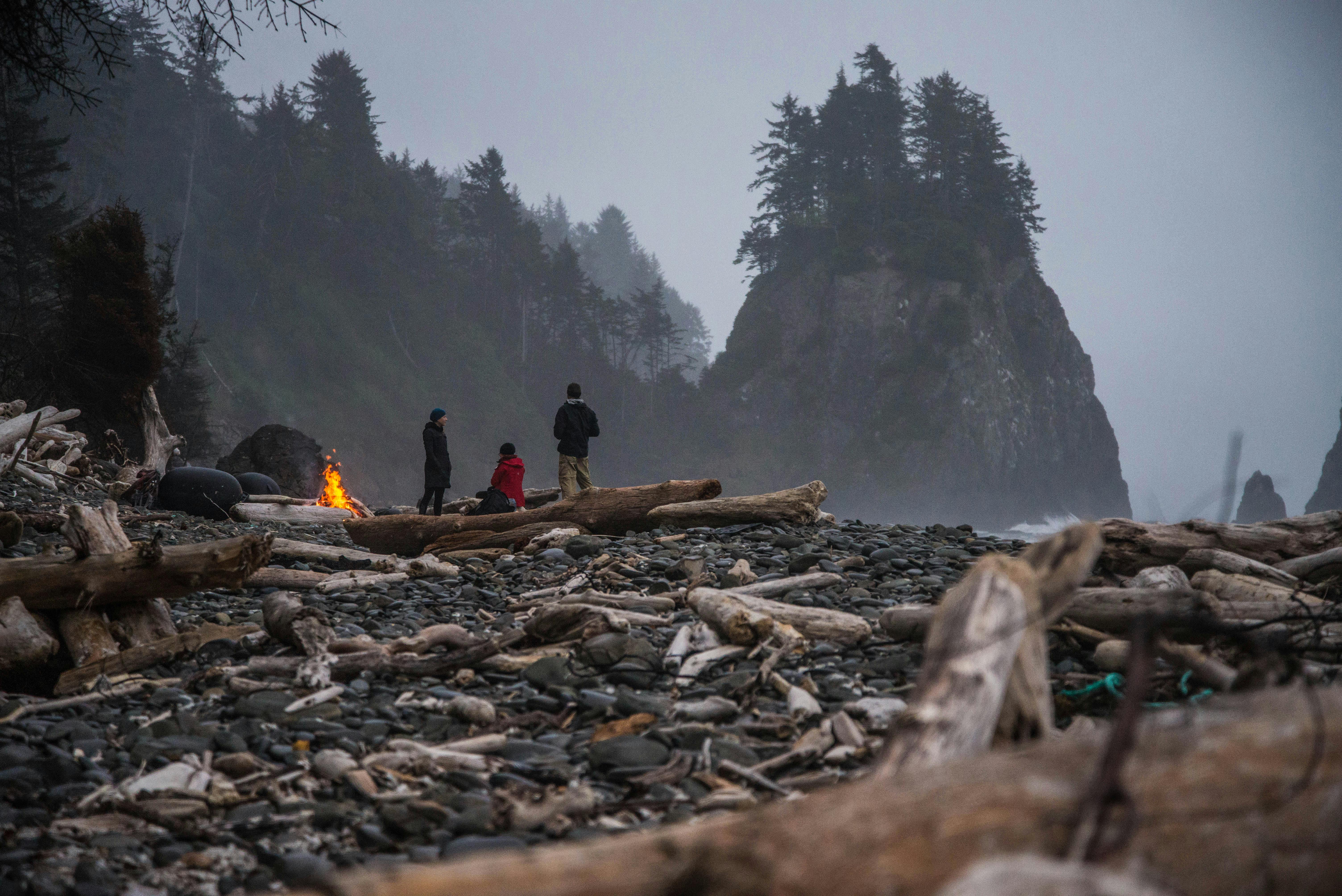 篝火、浮木和雾笼罩的悬崖，构成了戏剧性的沿海场景
