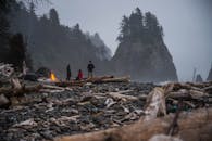 篝火、浮木和雾笼罩的悬崖，构成了戏剧性的沿海场景