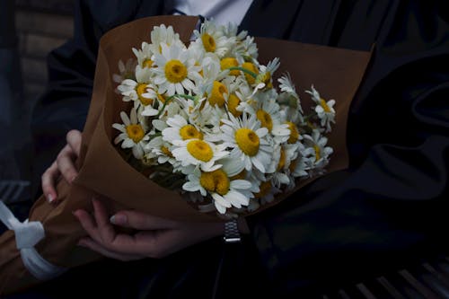 Bouquet of Marguerite Daisies Wrapped in Parchment Paper