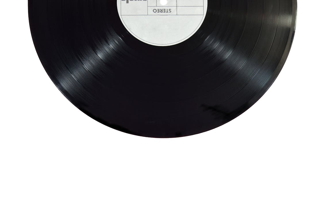 Vinyl Lp Record Disc Black Musical Stock Vector (Royalty Free) 481773475